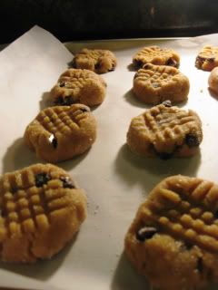 cooookies 06