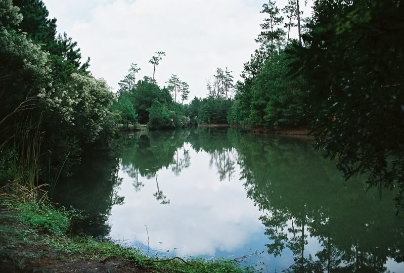 IMAGE: http://i101.photobucket.com/albums/m80/wii_irish_lad/LANDSCAPES/496200-R1-006-1A.jpg