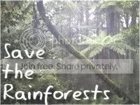 Save the Rainforest