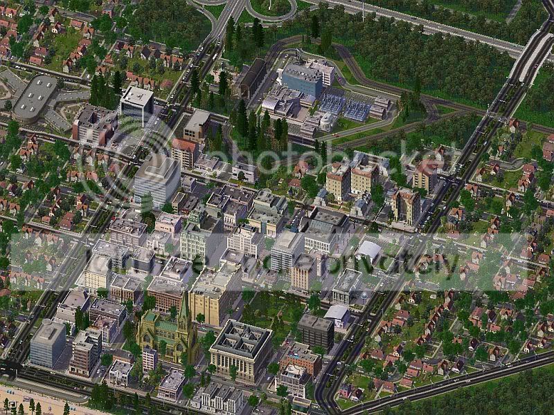 Ponderosa-Jan-1.jpg