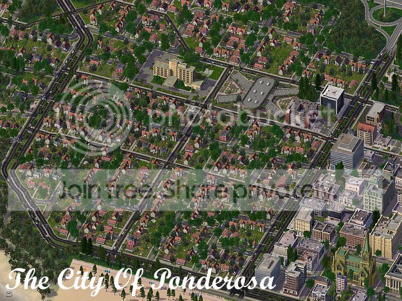 Ponderosa-Jan.jpg