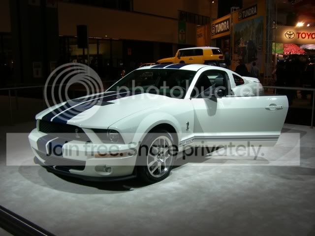 CIMG0073.jpg