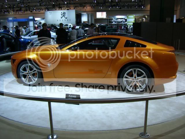 CIMG0077.jpg