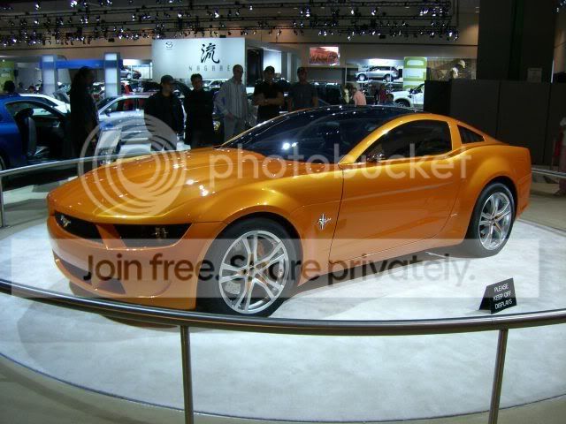 CIMG0079.jpg