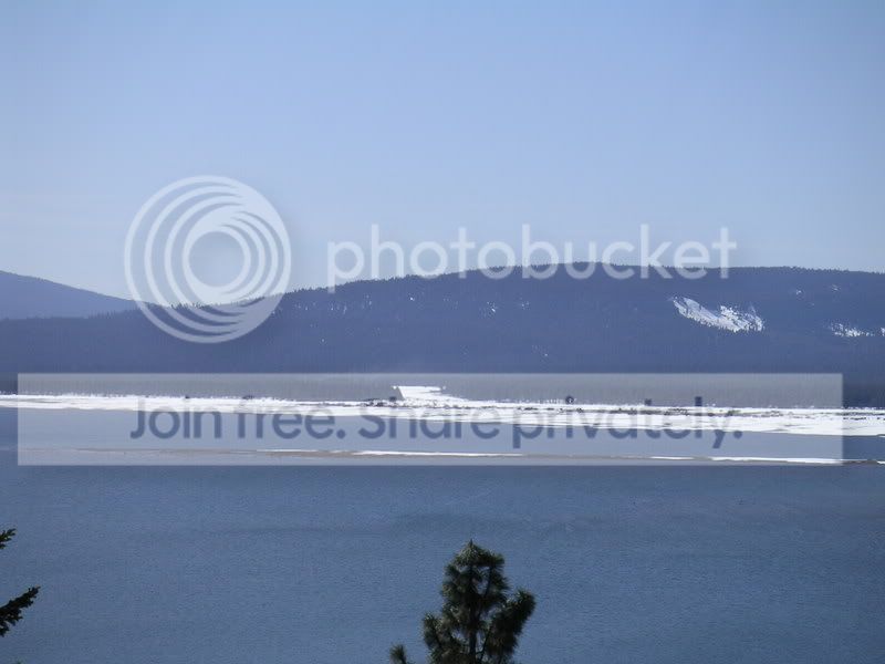 PICT0016-1.jpg