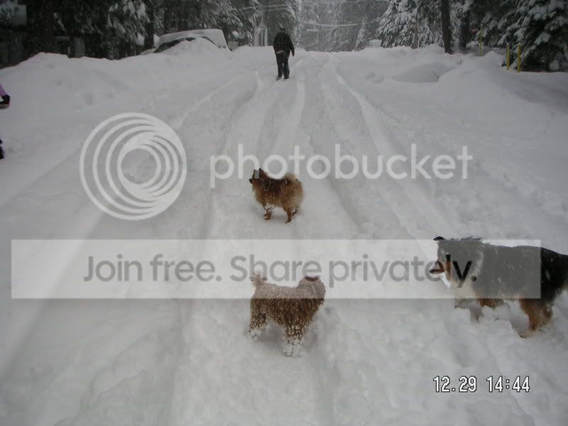 PICT0043.jpg