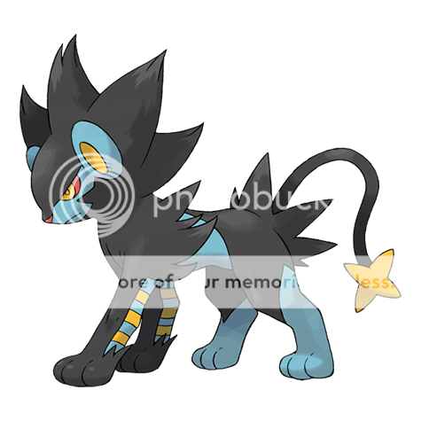 User Image
