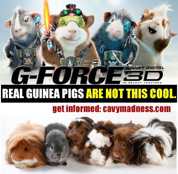 gforcebanner.jpg