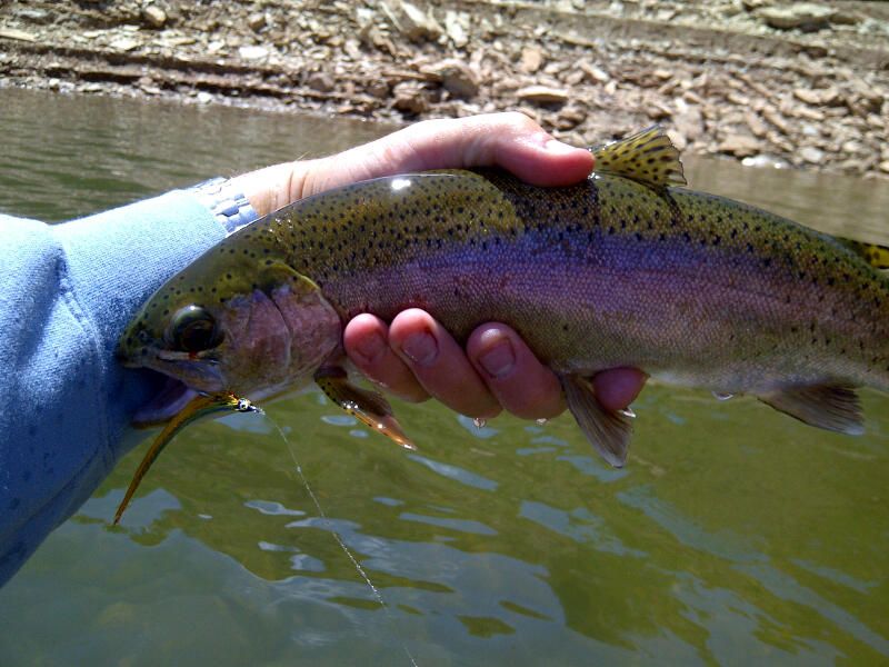 IMG-20120611-00975.jpg
