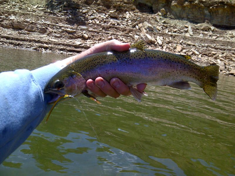 IMG-20120611-00976.jpg