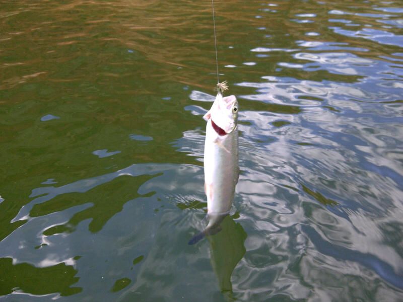 IMG-20120611-00978.jpg