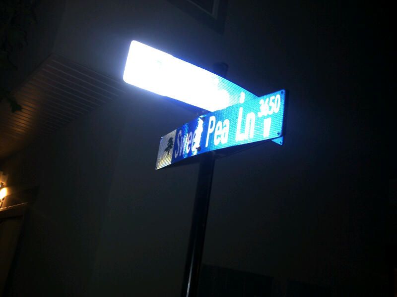 IMG-20120612-00982.jpg
