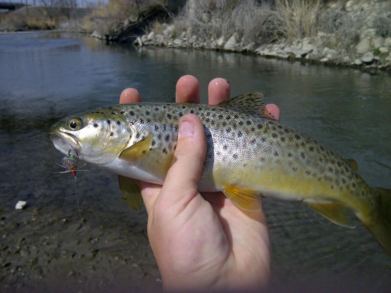 IMG-20130328-00184_zps8b313a21.jpg