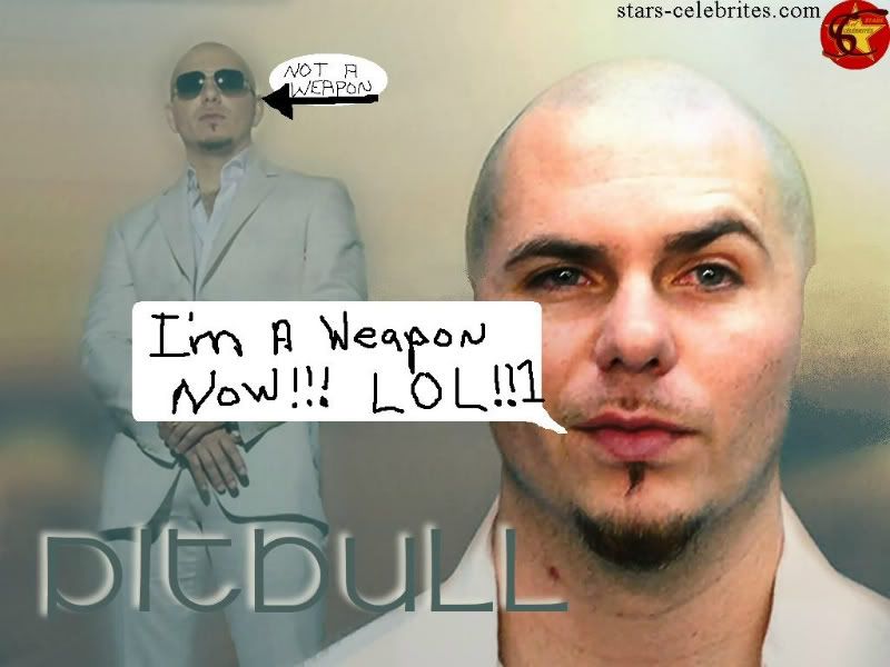 pitbullpaper01-1.jpg