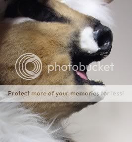 Photobucket - Video and Image Hosting