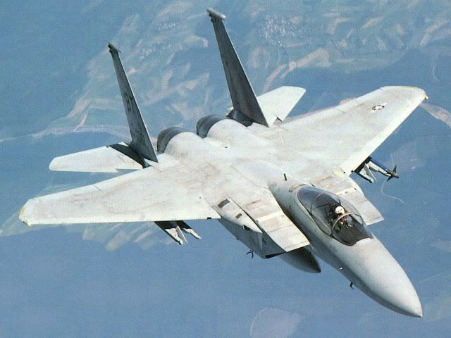 https://i101.photobucket.com/albums/m80/jors_sigfreid/fighter%20planes/F-15Eagle.jpg